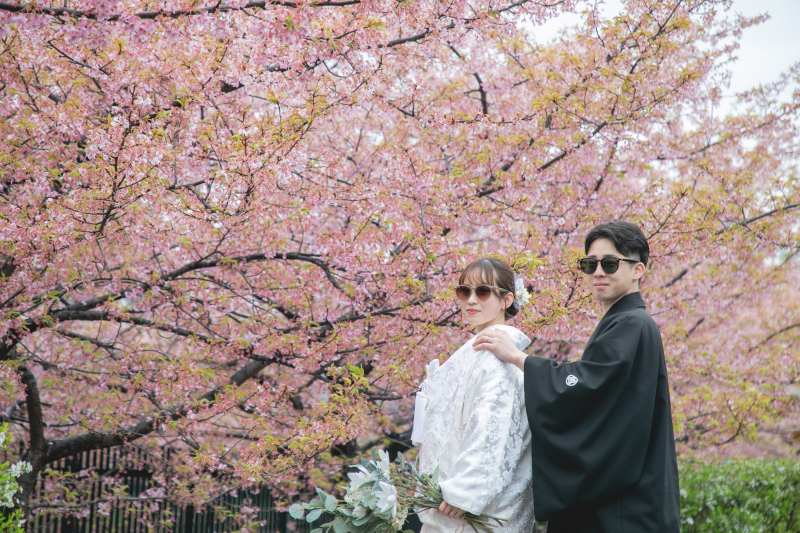 アリかも、サングラス