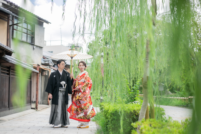 柳の緑がきれいです