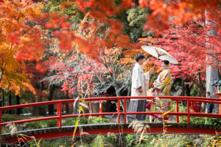 シーズン真っ只中