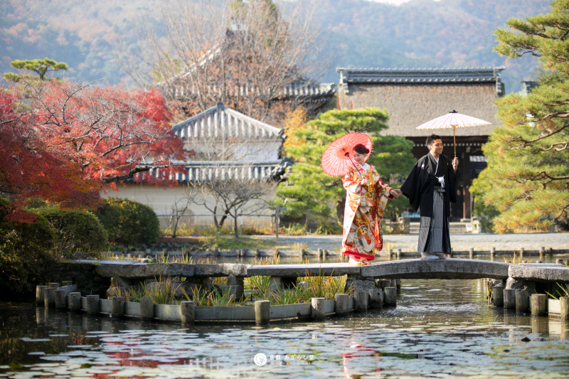鯉に餌をやってから