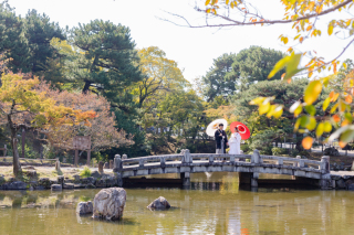 秋を感じる円山公園