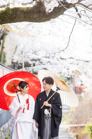 桜満開！ロケ地２か所めぐりました