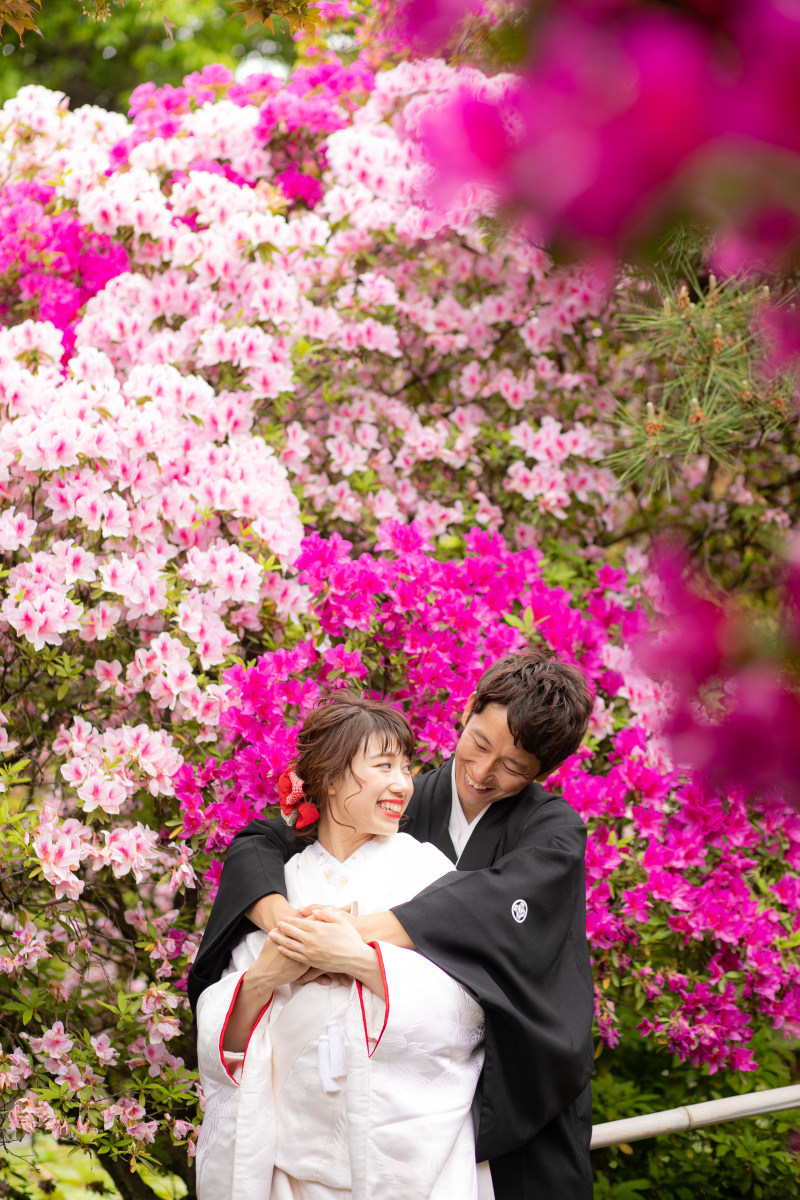 ツツジも祝福