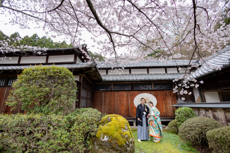 穴場なお寺と神社を桜巡り