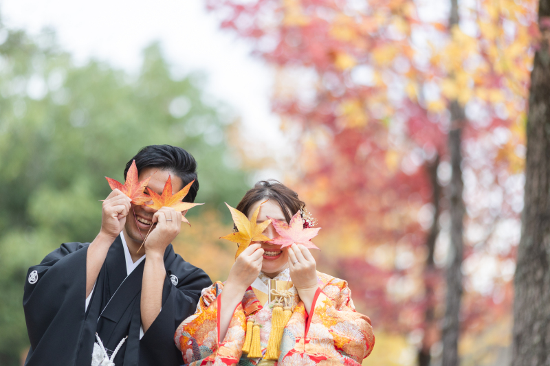 違う葉っぱでも