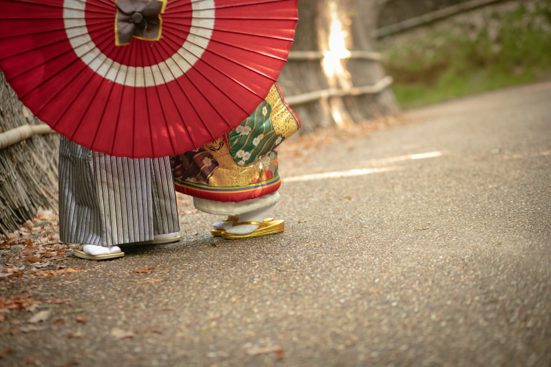 竹林に到着しました!