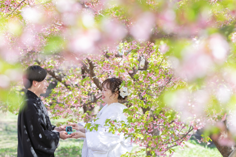 河津桜は葉桜もきれい