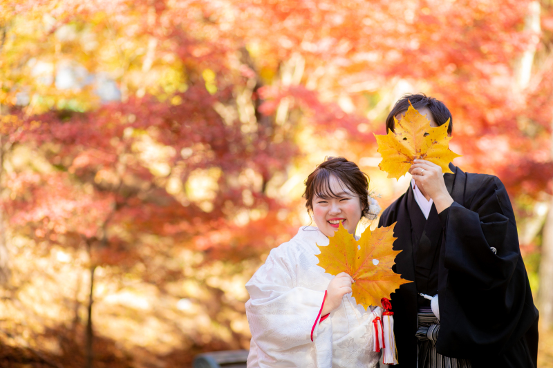 大きい葉っぱで