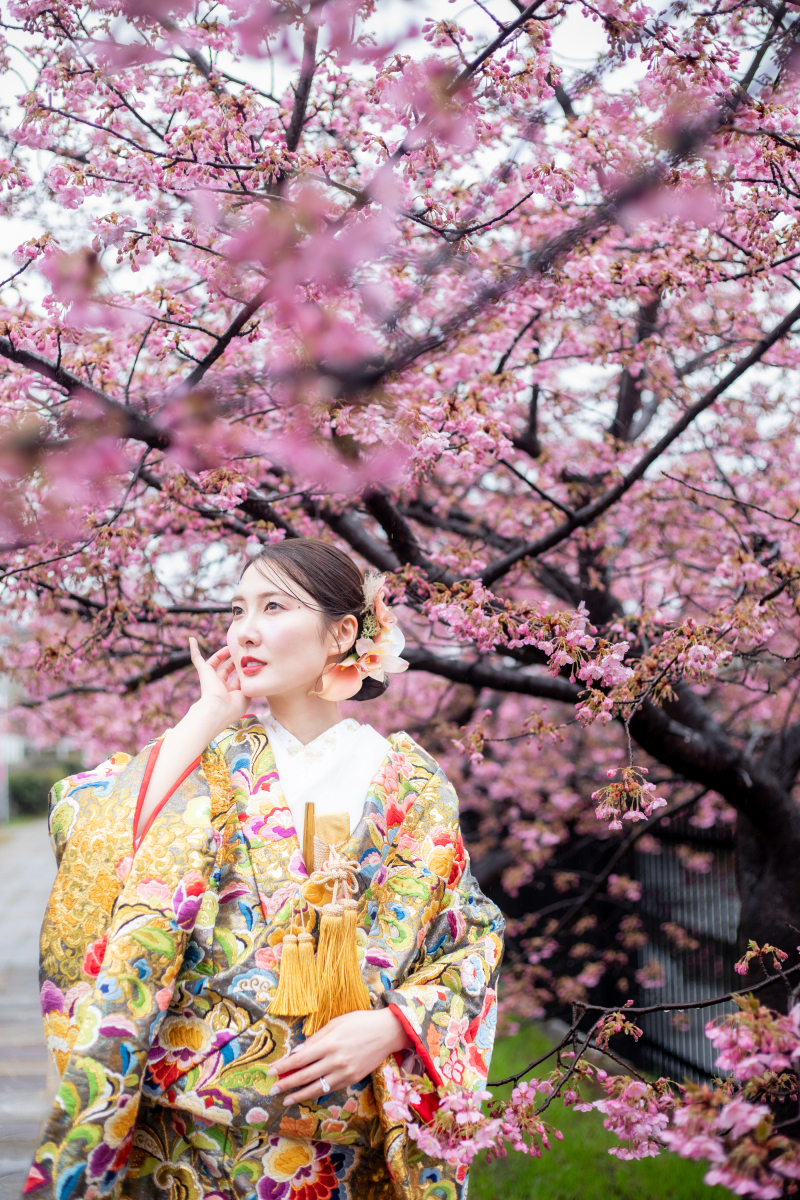 花嫁様、色打掛