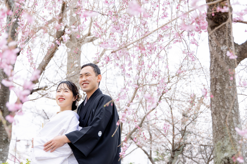 穴場の桜を満喫