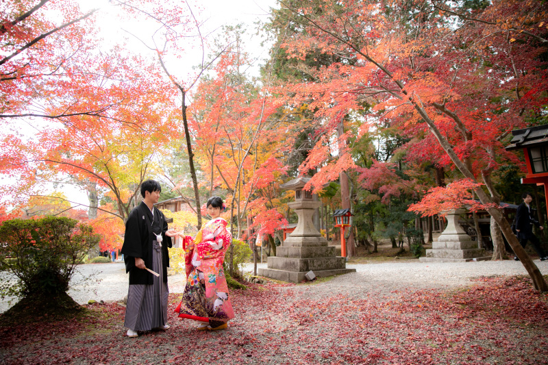 紅葉散り始め、