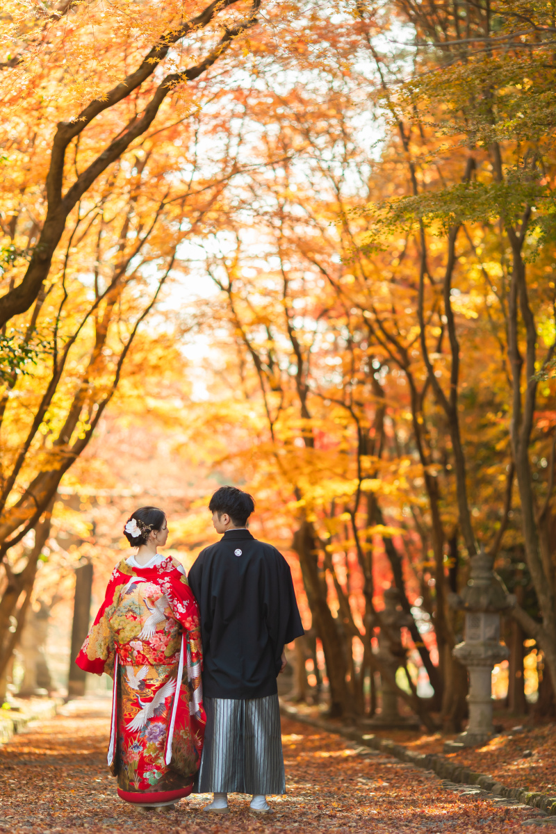 紅葉ロード