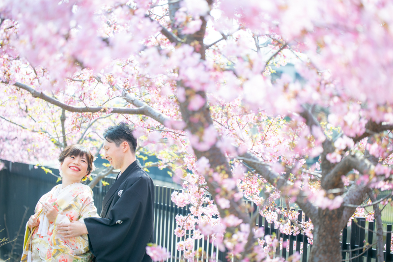 和室と祇園と河津桜