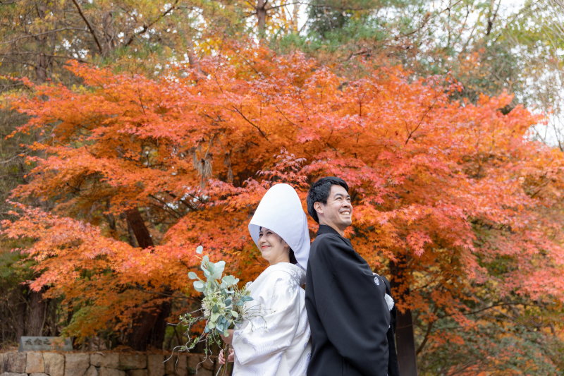 オレンジ色を背景に