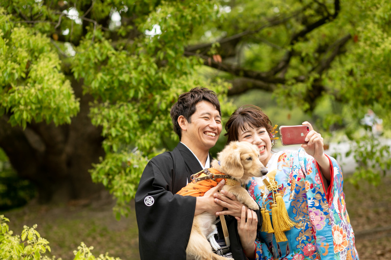 わんちゃんもお色直し