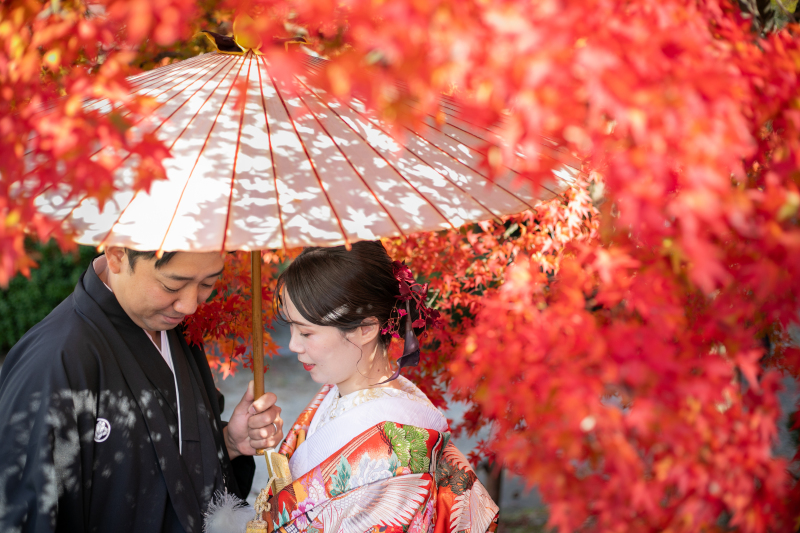 紅葉が
