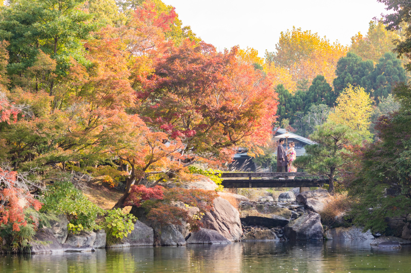 滋賀にきました