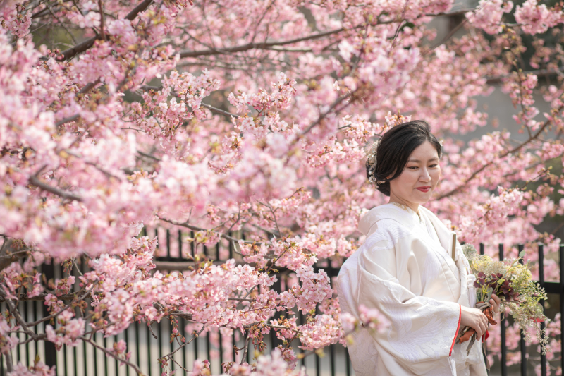 桜にかこまれて