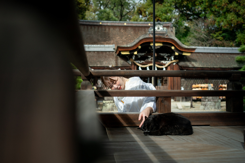 こんな出会いも