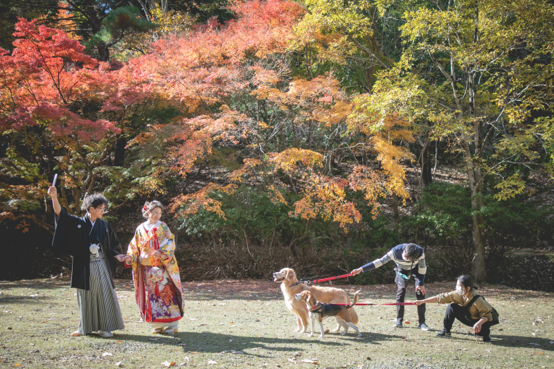 こっち向いてよ〜