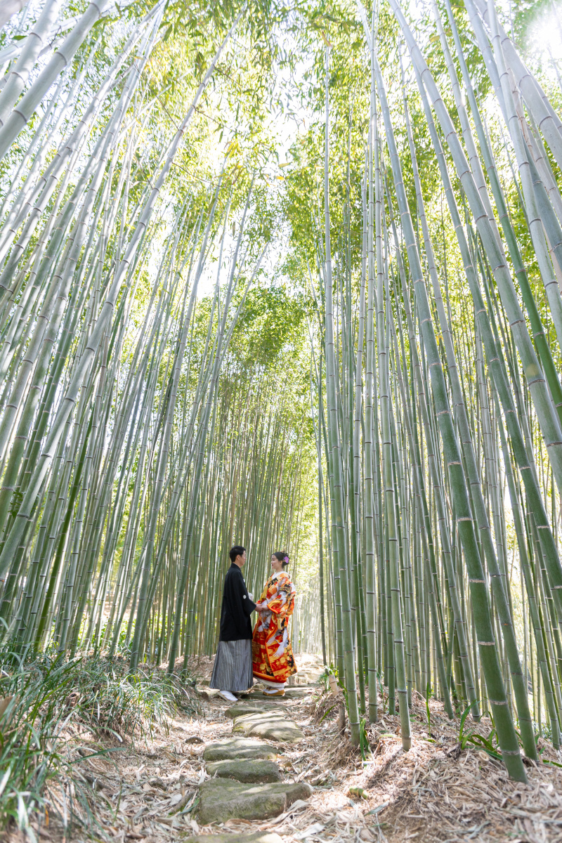 竹林にて
