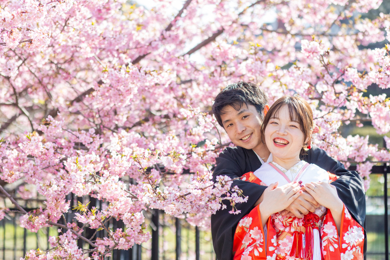 満開の河津桜！