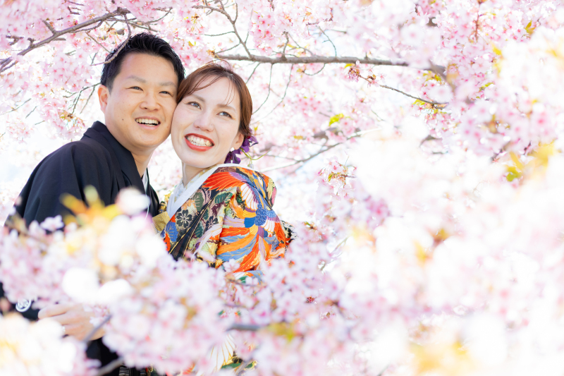 河津桜を思う存分堪能しました