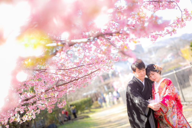 広い公園なので