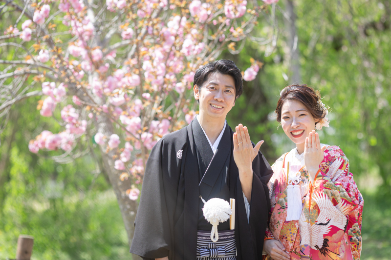 見せてください