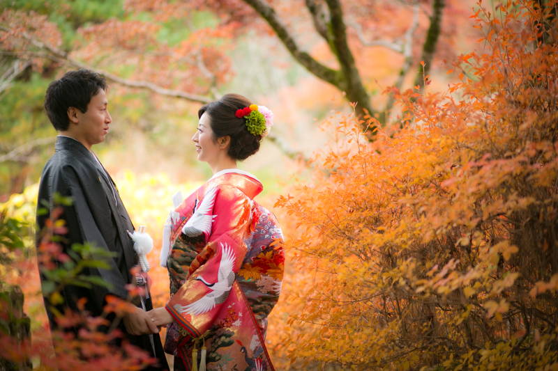 紅葉じゃないけど