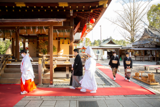 クリスマスにあざ婚（あざらし婚礼）
