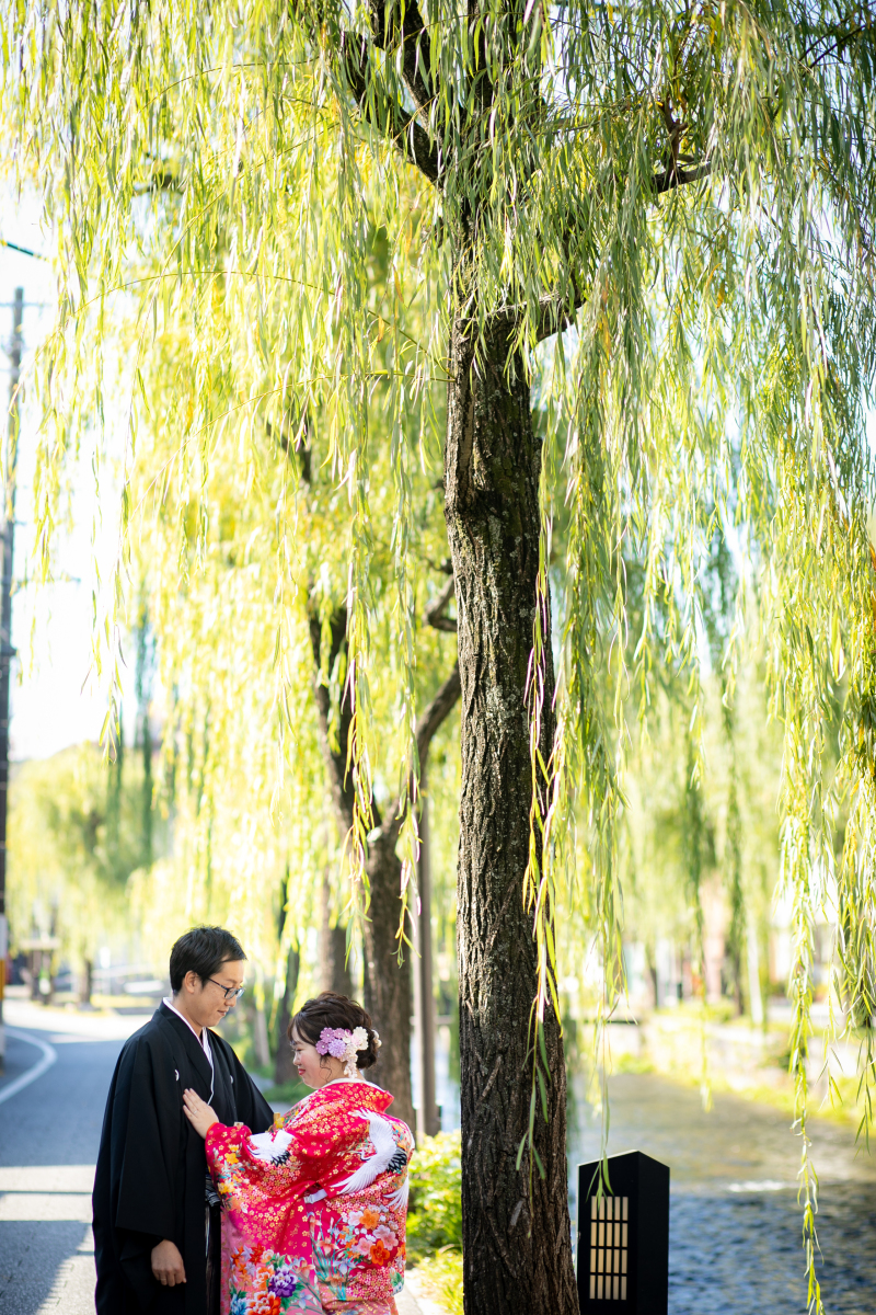柳の綺麗な場所