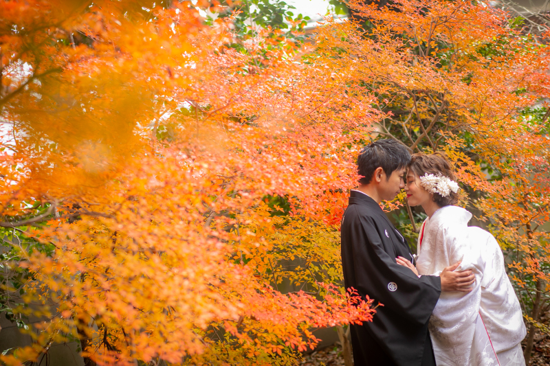 白無垢に架け替えて