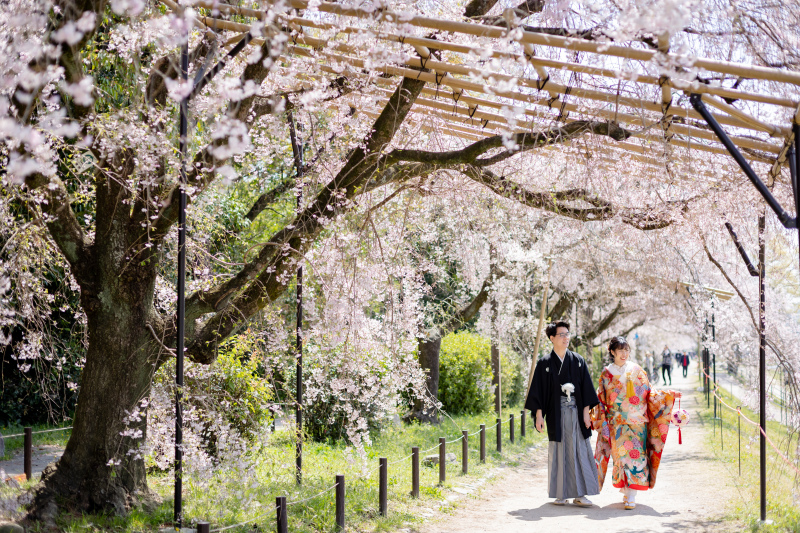 今年は開花が早い