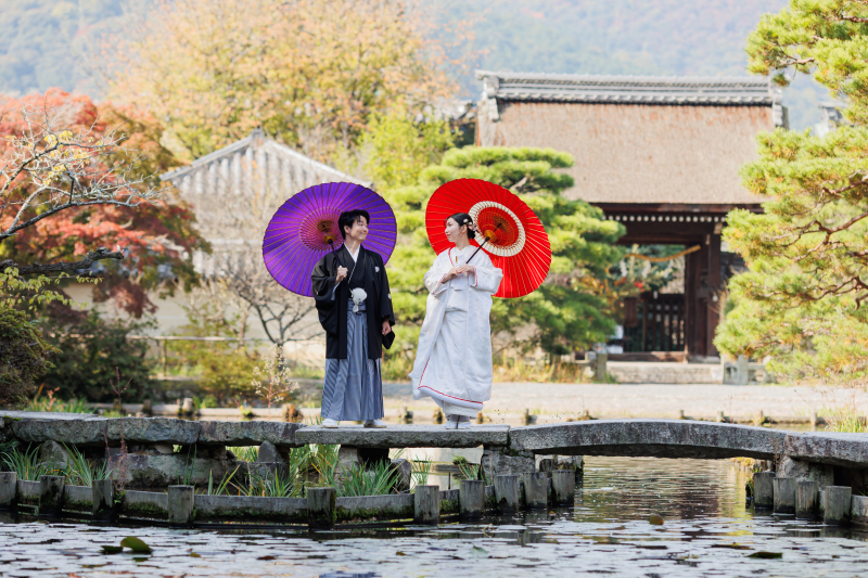 秋の梅宮大社＋あざらし和室プラン