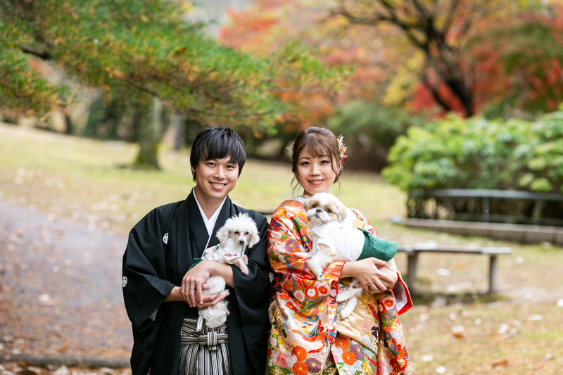 わんちゃんもお着替え