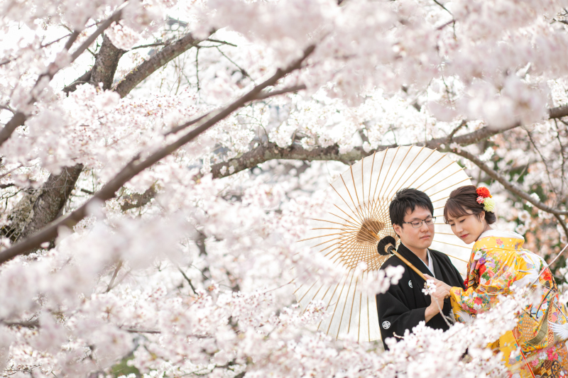 比較的人が少ないのに桜が多いエリア