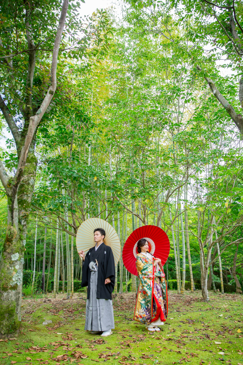 竹林もあります