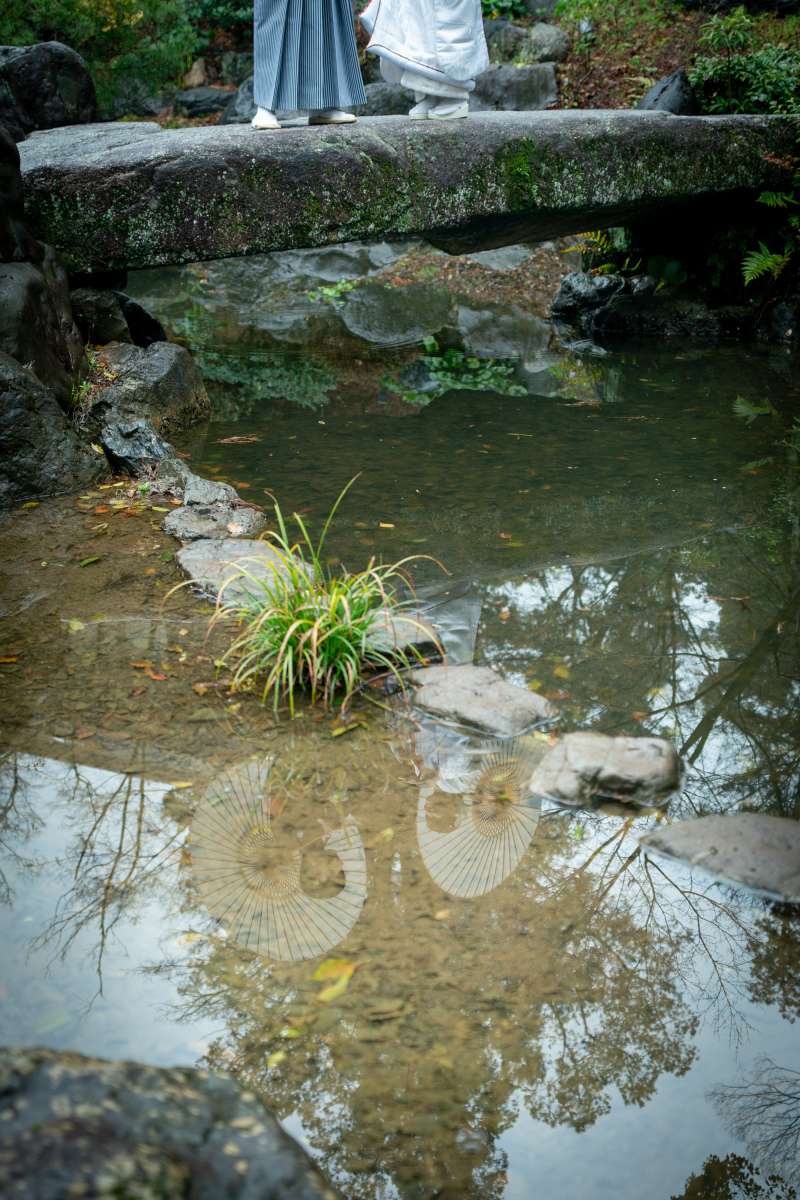 池にうつるのは?