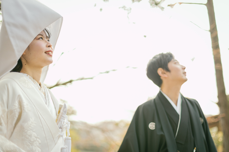 見上げる先には