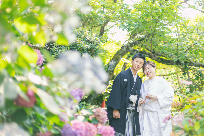 百花繚乱!あじさいに囲まれて