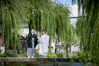 柳がめちゃ綺麗