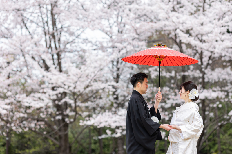 春の八坂と岡崎を満喫