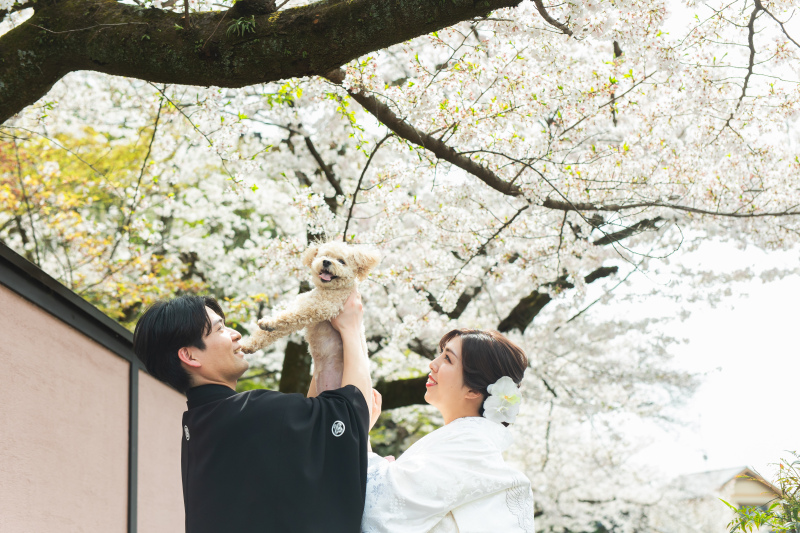 スリーショット