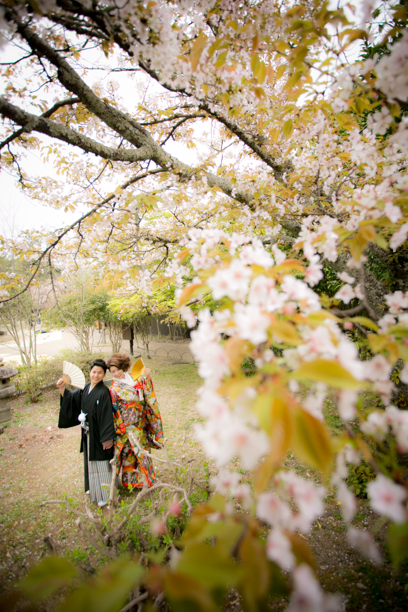 まだ残ってた桜