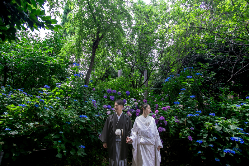 見とれちゃいます