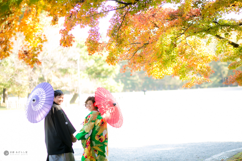 紅葉狙い京都御所