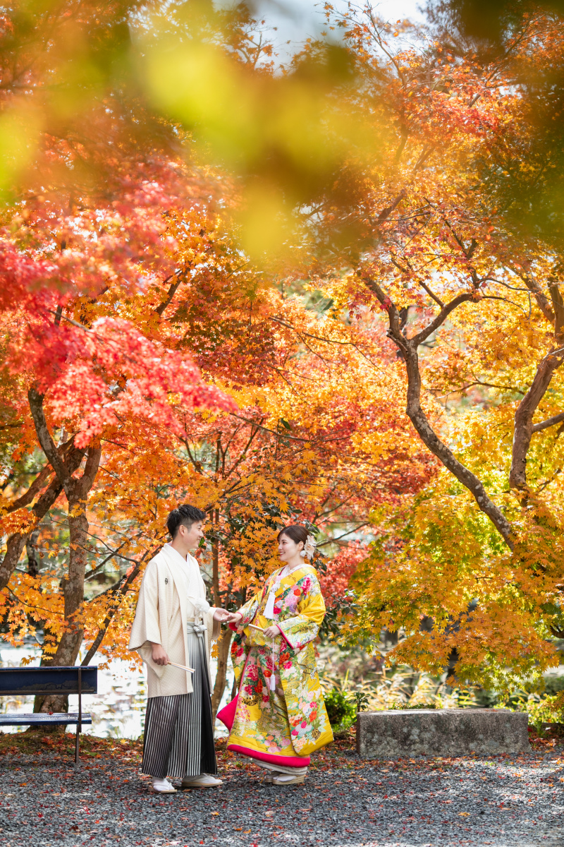 真っ赤な紅葉で