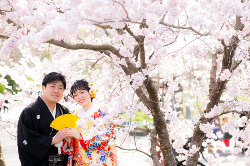 １本の最高の桜