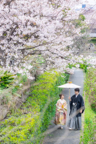 春はピンクだけじゃない